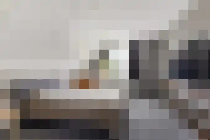 Boskleane 12 Bakkeveen thumbnail 27