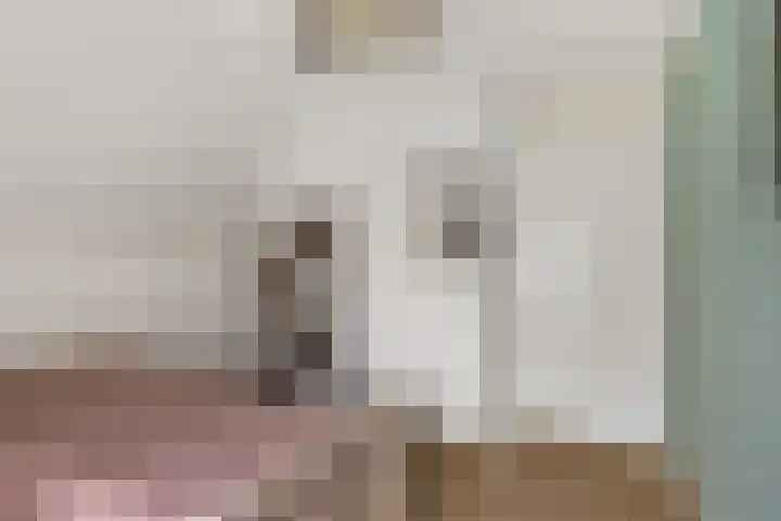 Boskleane 12 Bakkeveen thumbnail 30
