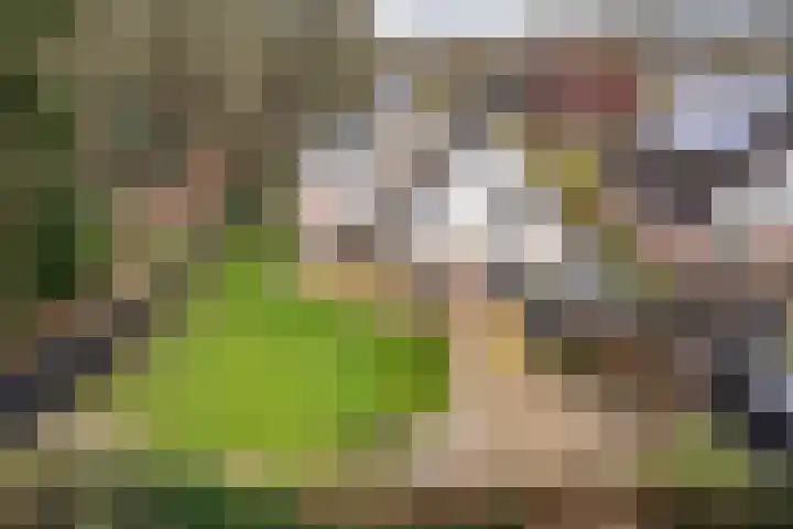 Boskleane 12 Bakkeveen thumbnail 35