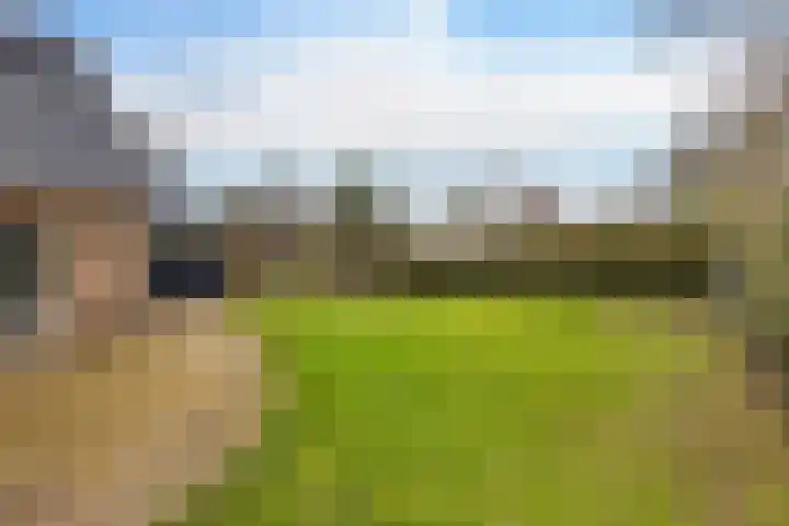 Boskleane 12 Bakkeveen thumbnail 37