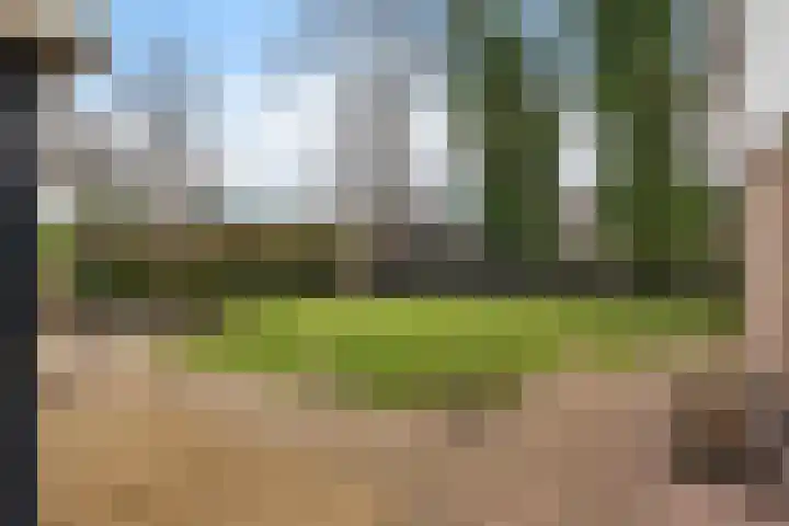 Boskleane 12 Bakkeveen thumbnail 38