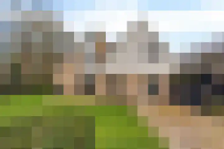 Boskleane 12 Bakkeveen thumbnail 39