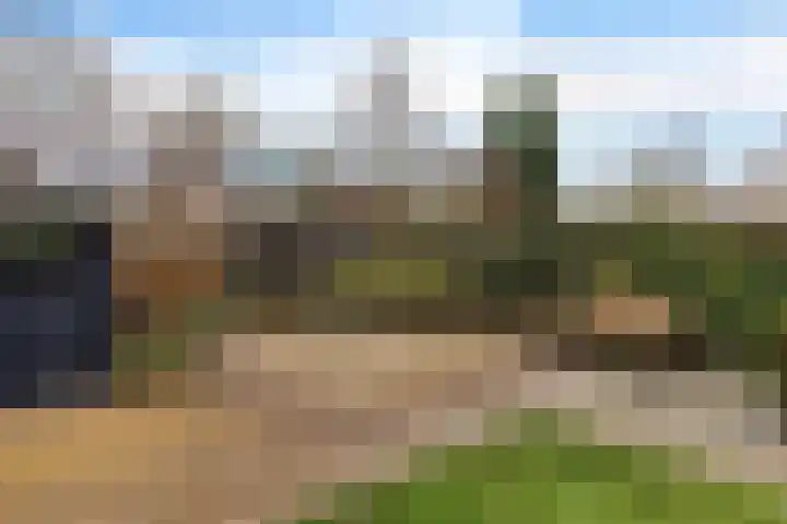 Boskleane 12 Bakkeveen thumbnail 40