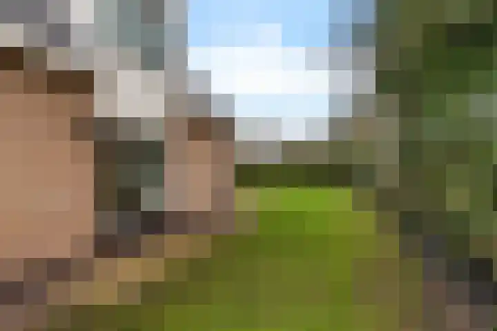 Boskleane 12 Bakkeveen thumbnail 41