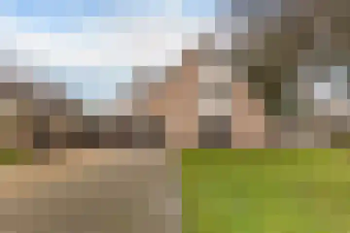 Boskleane 12 Bakkeveen thumbnail 43