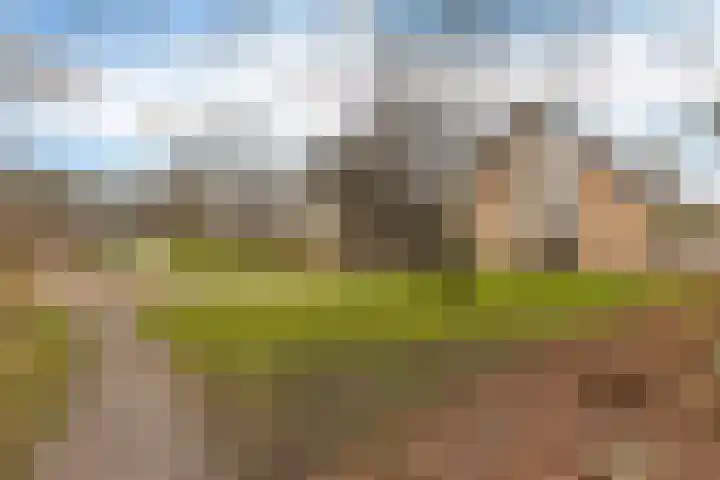 Boskleane 12 Bakkeveen thumbnail 44