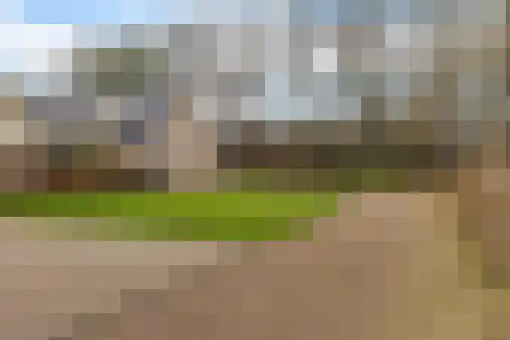 Boskleane 12 Bakkeveen thumbnail 45