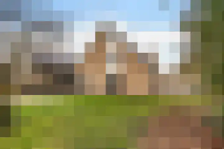 Boskleane 12 Bakkeveen thumbnail 46