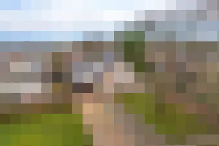 Boskleane 12 Bakkeveen thumbnail 47