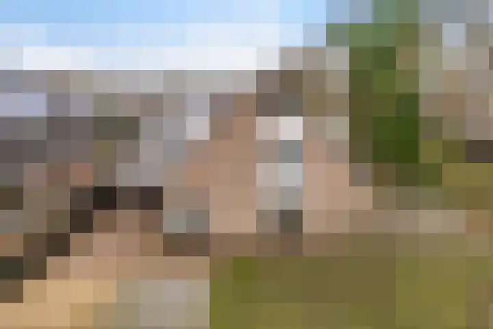 Boskleane 12 Bakkeveen thumbnail 48