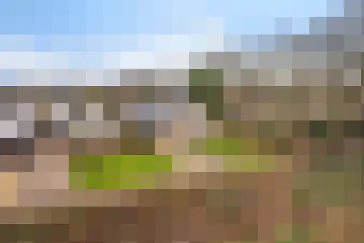 Boskleane 12 Bakkeveen thumbnail 49