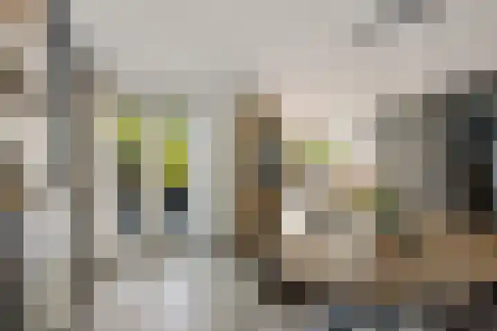 Boskleane 31 A Bakkeveen thumbnail 10
