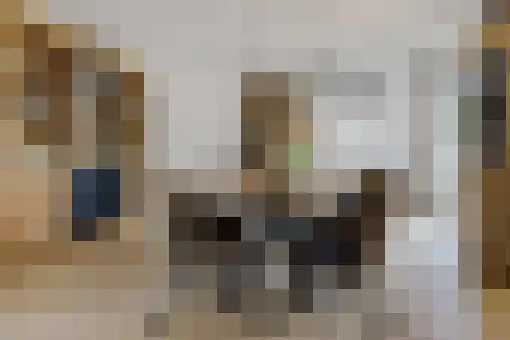 Boskleane 31 A Bakkeveen thumbnail 11