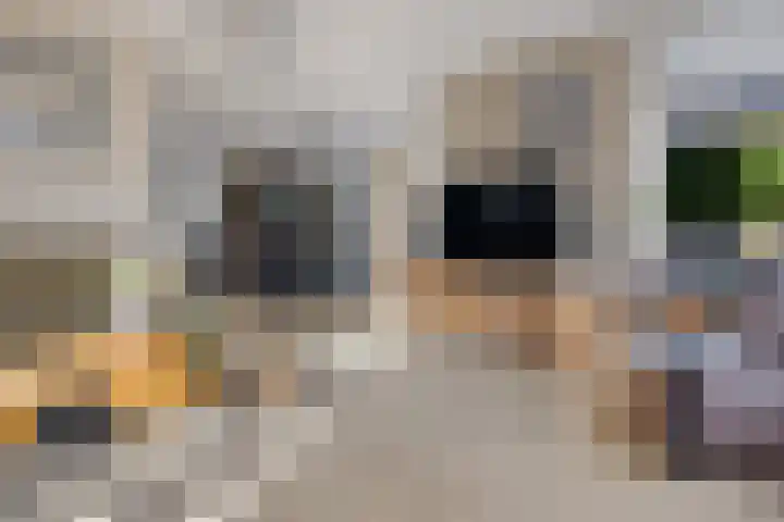 Boskleane 31 A Bakkeveen thumbnail 12