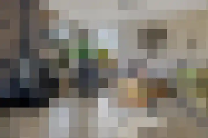 Boskleane 31 A Bakkeveen thumbnail 14