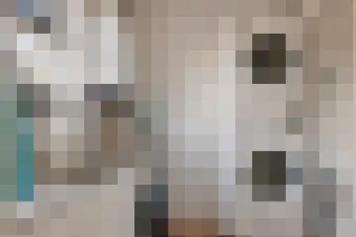Boskleane 31 A Bakkeveen thumbnail 17