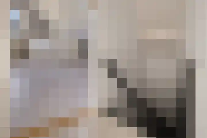 Boskleane 31 A Bakkeveen thumbnail 24