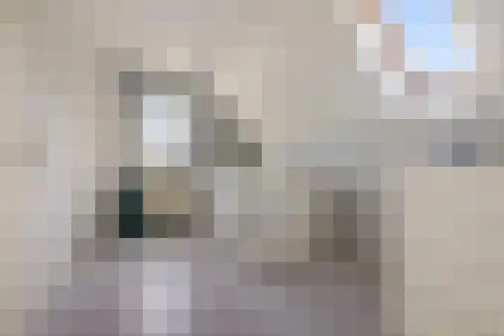 Boskleane 31 A Bakkeveen thumbnail 25