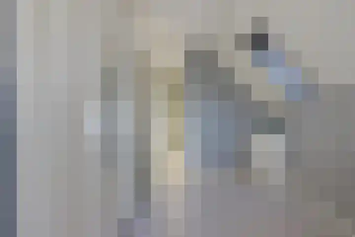 Boskleane 31 A Bakkeveen thumbnail 27