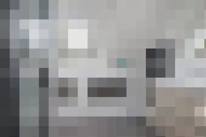 Boskleane 31 A Bakkeveen thumbnail 33