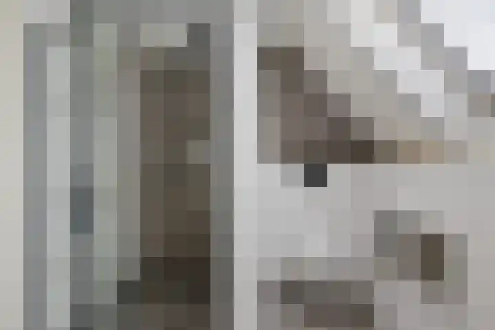 Boskleane 31 A Bakkeveen thumbnail 35