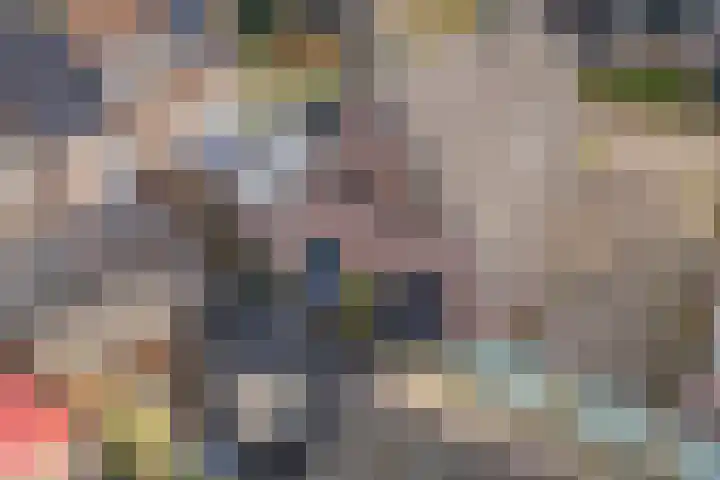 Boskleane 31 A Bakkeveen thumbnail 36