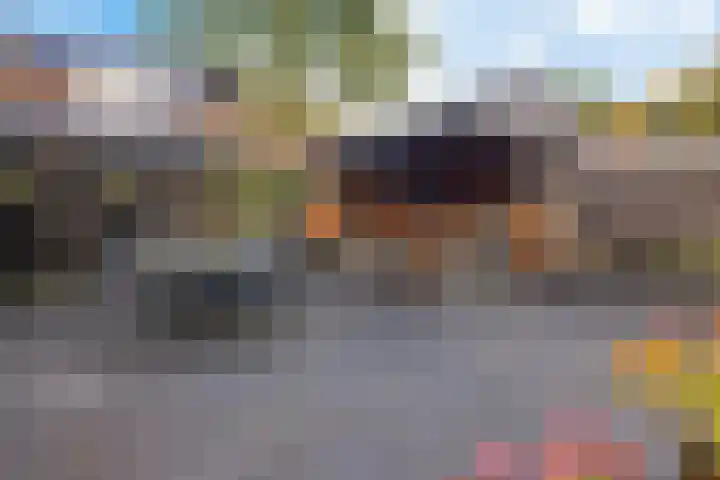 Boskleane 31 A Bakkeveen thumbnail 37