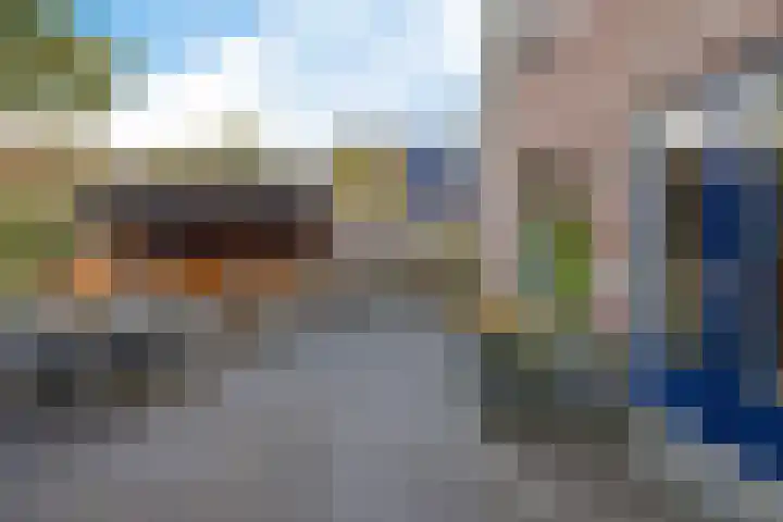 Boskleane 31 A Bakkeveen thumbnail 38