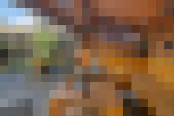 Boskleane 31 A Bakkeveen thumbnail 39