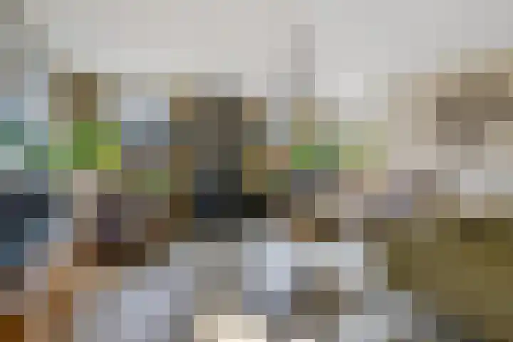 Boskleane 31 A Bakkeveen thumbnail 4