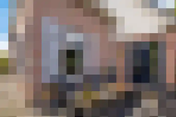 Boskleane 31 A Bakkeveen thumbnail 43