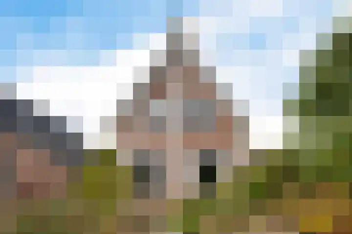 Boskleane 31 A Bakkeveen thumbnail 46
