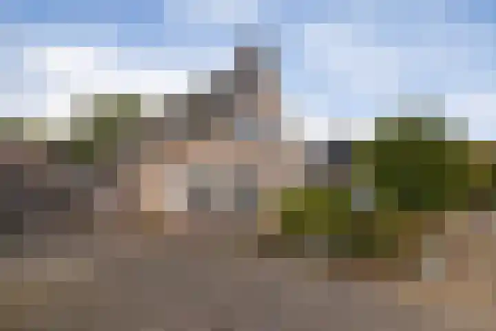 Boskleane 31 A Bakkeveen thumbnail 48