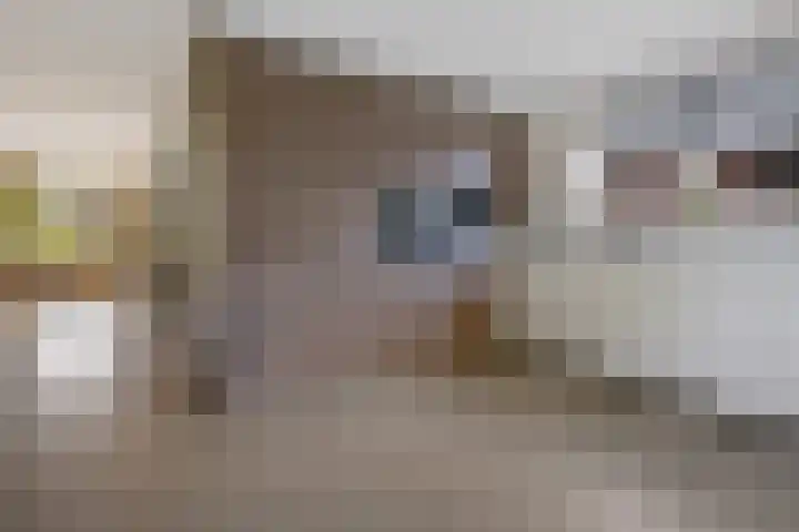 Boskleane 31 A Bakkeveen thumbnail 5