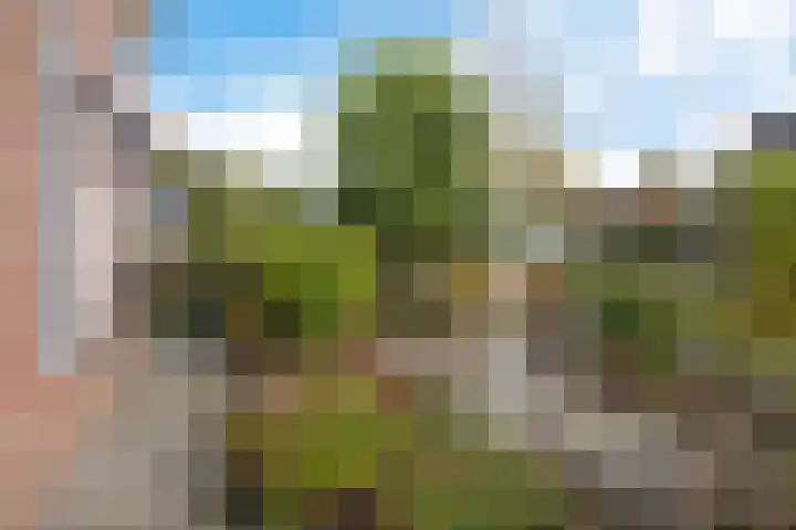 Boskleane 31 A Bakkeveen thumbnail 51