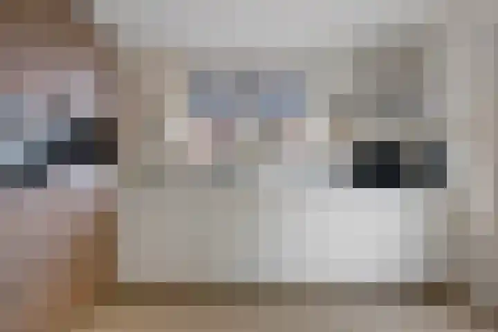 Boskleane 31 A Bakkeveen thumbnail 6
