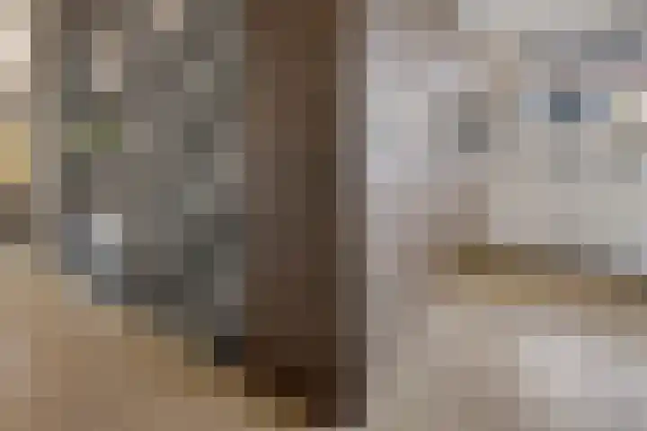 Boskleane 31 A Bakkeveen thumbnail 8