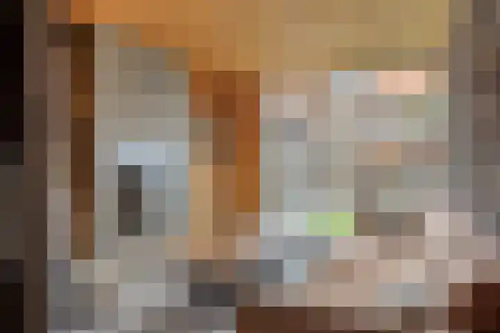 Boskolk 10 Wapenveld thumbnail 11
