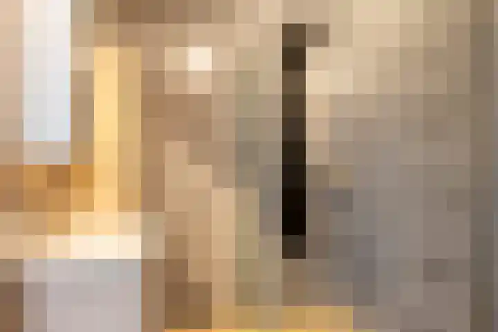 Boskolk 10 Wapenveld thumbnail 20
