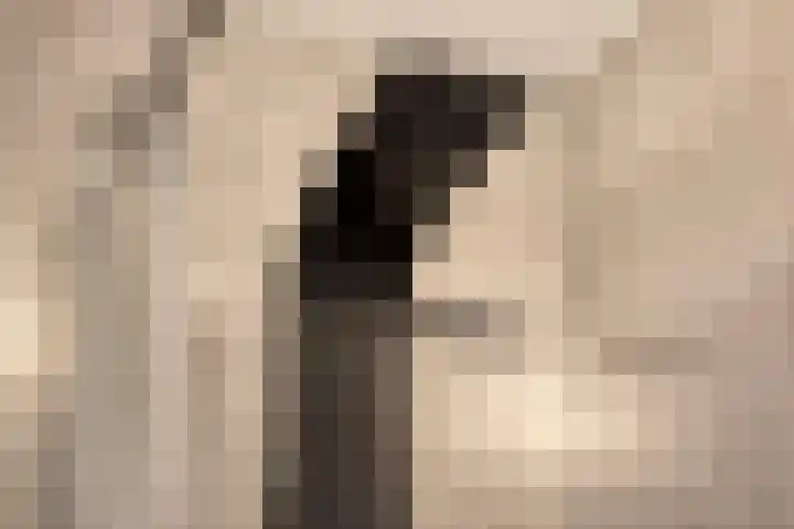 Boskolk 10 Wapenveld thumbnail 21