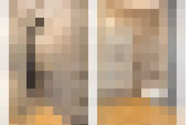 Boskolk 10 Wapenveld thumbnail 22