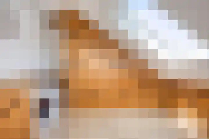 Boskolk 10 Wapenveld thumbnail 25