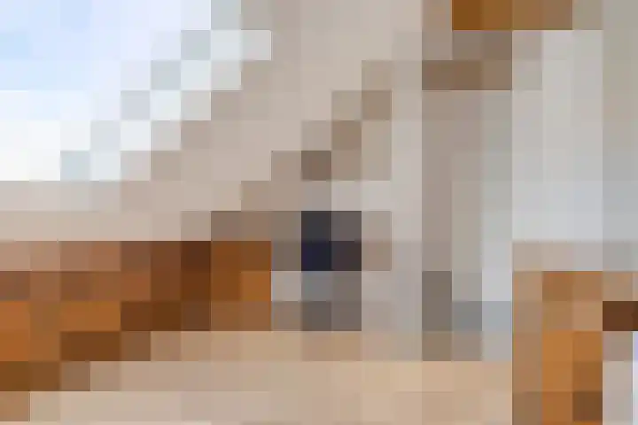 Boskolk 10 Wapenveld thumbnail 26