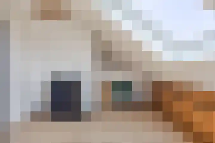 Boskolk 10 Wapenveld thumbnail 28