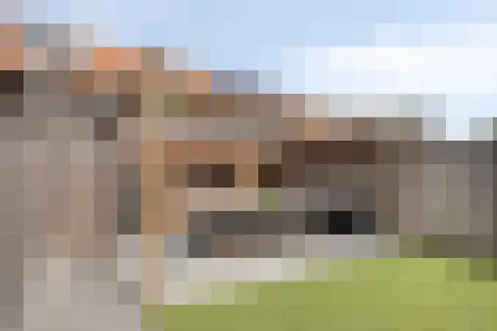 Boskolk 10 Wapenveld thumbnail 29