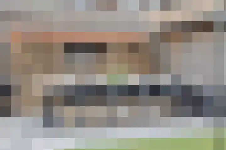 Boskolk 10 Wapenveld thumbnail 30