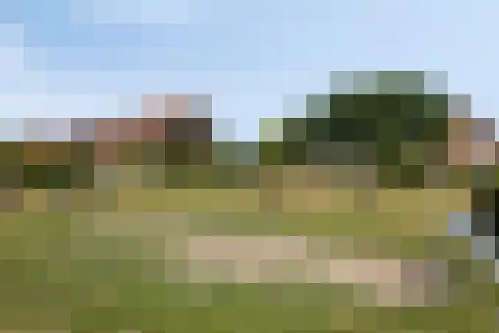 Boskolk 10 Wapenveld thumbnail 35