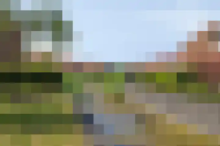 Boskolk 10 Wapenveld thumbnail 36