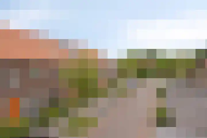 Boskolk 10 Wapenveld thumbnail 37