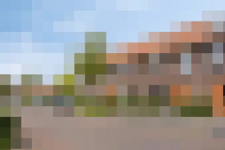 Boskolk 10 Wapenveld thumbnail 38